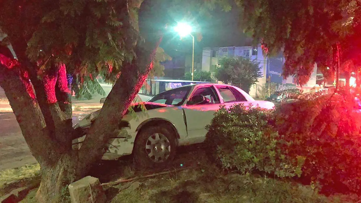 choque contra arbol